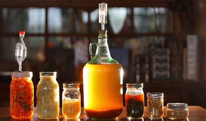 fermentation_class